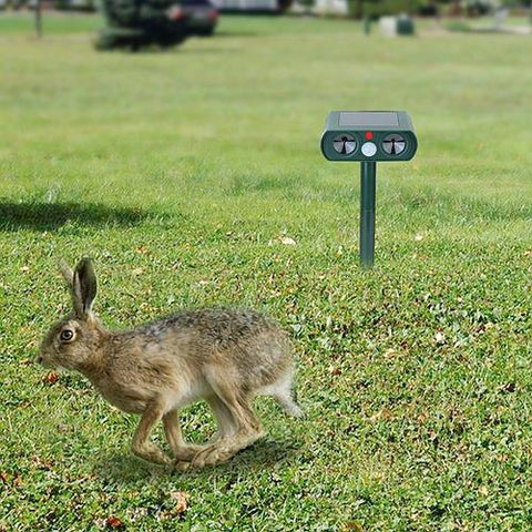 Solar Powered Motion Activated Animal Repeller - Ultrasonic Waterproof Repellent for Outdoor Use