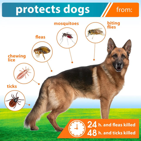 Flea and Tick Medicine for Puppies - Flea Treatment and Mosquito Repellent Drops Pack