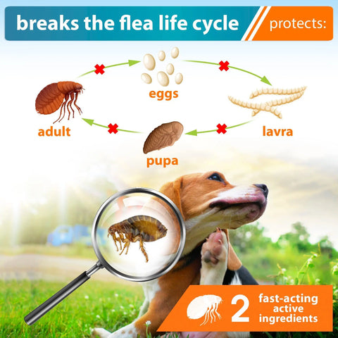 Flea and Tick Medicine for Puppies - Flea Treatment and Mosquito Repellent Drops Pack