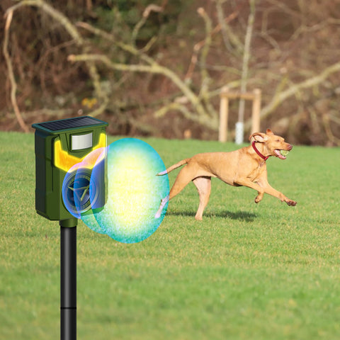 LakeForest Solar Animal Repeller with Flame Light – USB & PIR Sensor