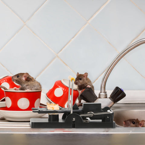 iMounTEK 6-Pack Mouse Snap Traps – Reusable Pest Control