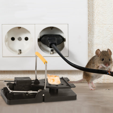 iMounTEK 6-Pack Mouse Snap Traps – Reusable Pest Control