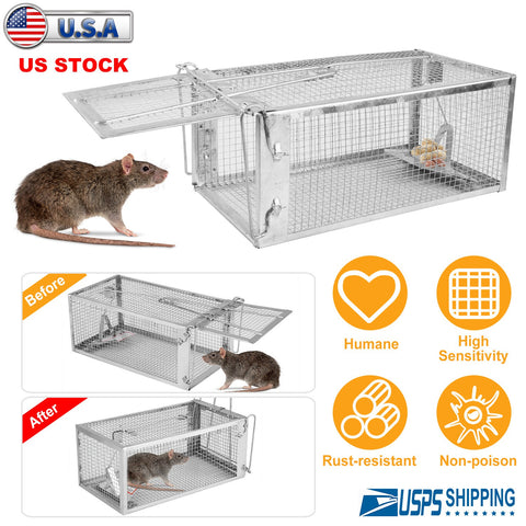 Humane Rat Trap Cage – Galvanized Iron with U-Shaped Rod