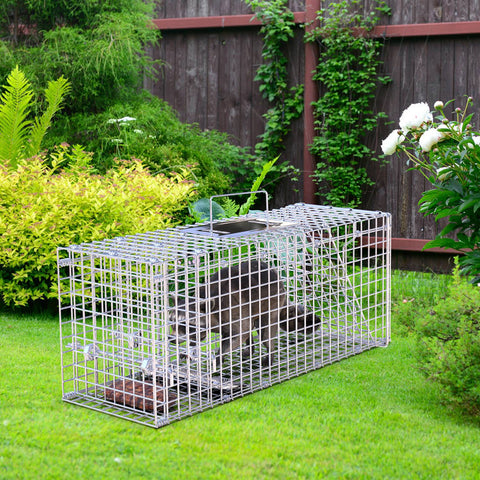 iMounTEK 25.6" Heavy Duty Humane Animal Trap – Folding Catch & Release