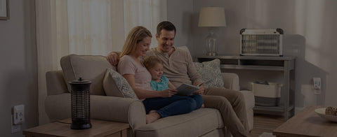 Effective Pest Control Products for Home and Outdoors