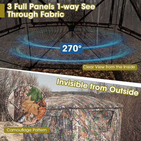 538212021