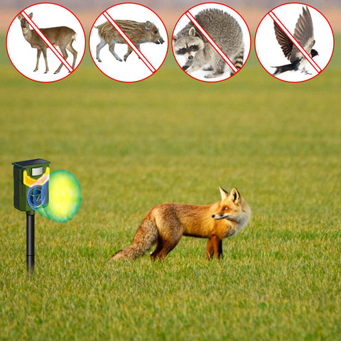 LakeForest Solar Animal Repeller with Flame Light – USB & PIR Sensor