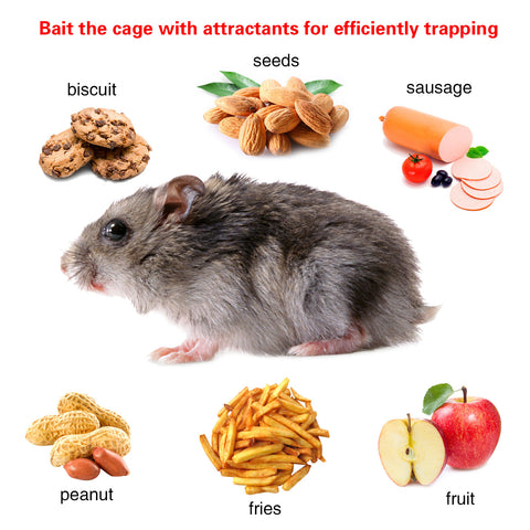 Humane Rat Trap Cage – Galvanized Iron with U-Shaped Rod