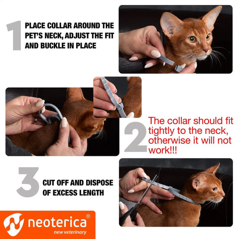 Natural Flea Collar for Cats - 12 Months Control, Essential Oil Repellent (1 Count)