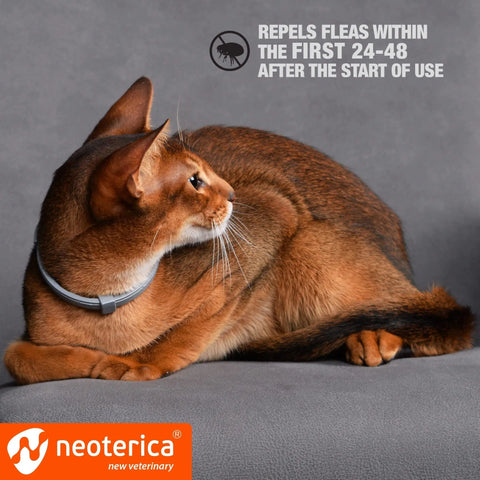 Natural Flea Collar for Cats - 12 Months Control, Essential Oil Repellent (1 Count)