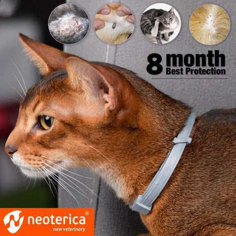 Natural Flea Collar for Cats - 6 Months Control, Essential Oil Repellent (1 Pack)